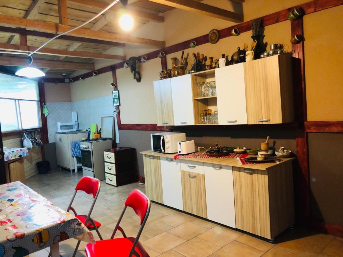 ホテル Casa Andrei コスティネシュティ エクステリア 写真