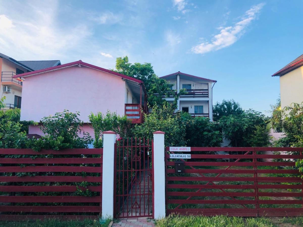 ホテル Casa Andrei コスティネシュティ エクステリア 写真