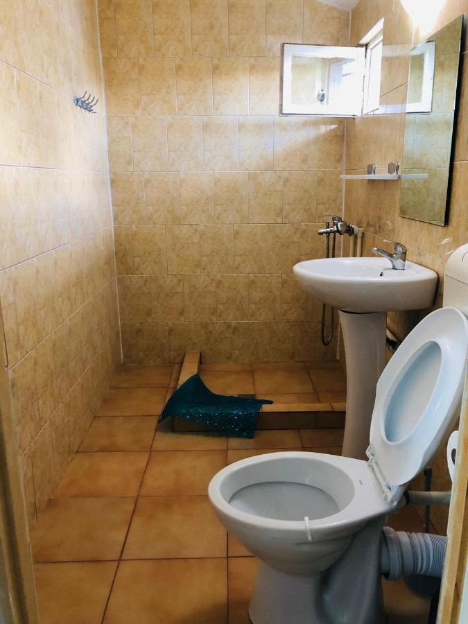 ホテル Casa Andrei コスティネシュティ エクステリア 写真