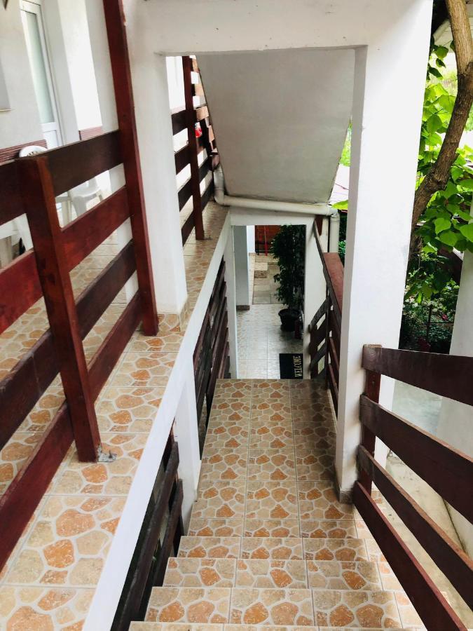 ホテル Casa Andrei コスティネシュティ エクステリア 写真